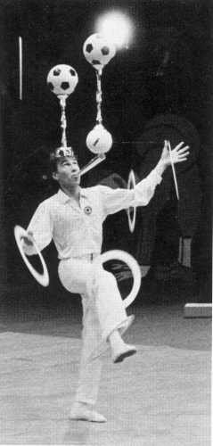 Eddy Carello Jr. won a silver medal at the Cirque de Demain